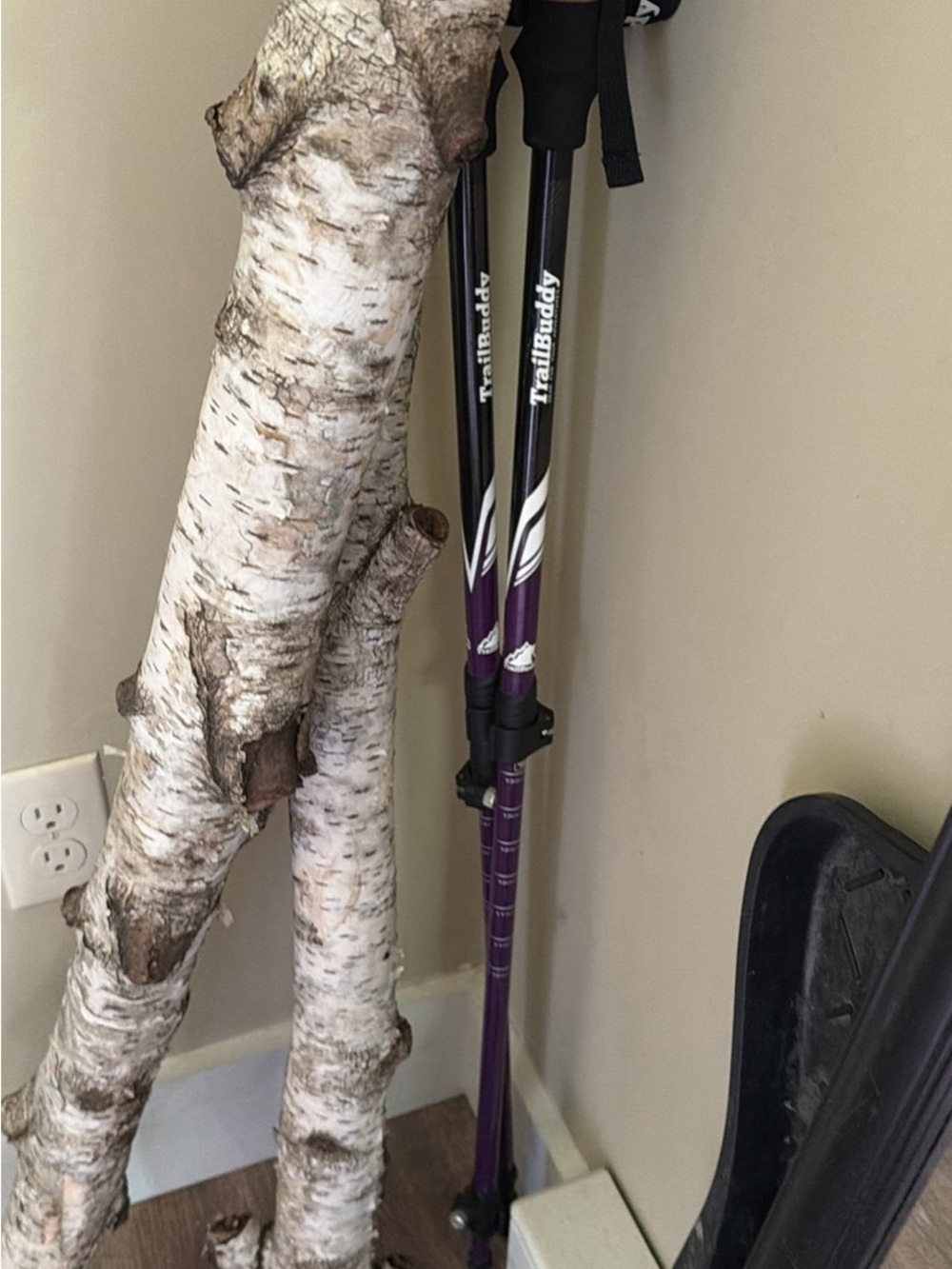 TrailBuddy Adjustable Trekking Poles in Purple/Black